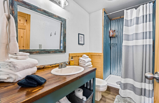 Bathroom at Ponderosa Pine Cabin with vanity, mirror and shower.