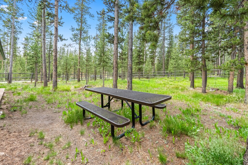 Outdoor picnic table among the pine trees near Ponderosa Pine Cabin.