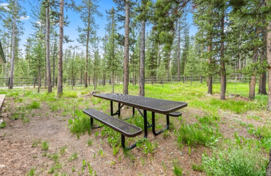 Outdoor picnic table among the pine trees near Ponderosa Pine Cabin.