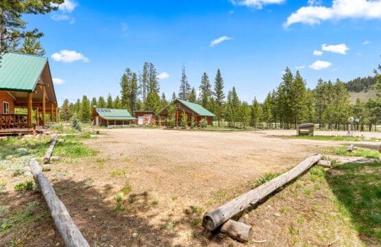 Spacious wooded grounds surrounding Ponderosa Pine Cabin in Stanley, Idaho.