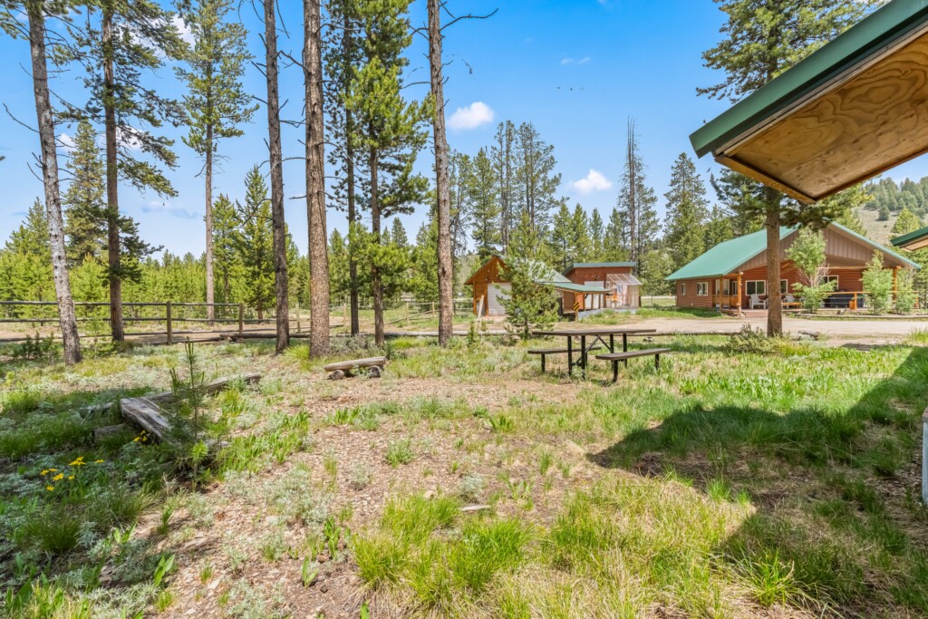 Outdoor picnic area among the pine trees near Bonanza Cabin.