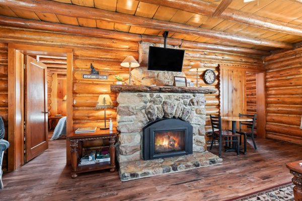 Wall Street Cabin - 1-bedroom cabin in Stanley, Idaho