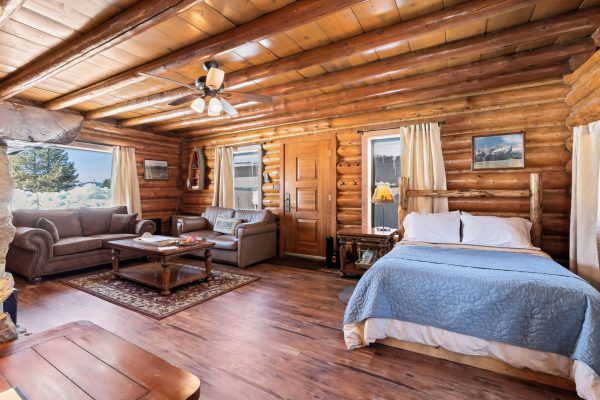 Wall Street Cabin - 1-bedroom cabin in Stanley, Idaho
