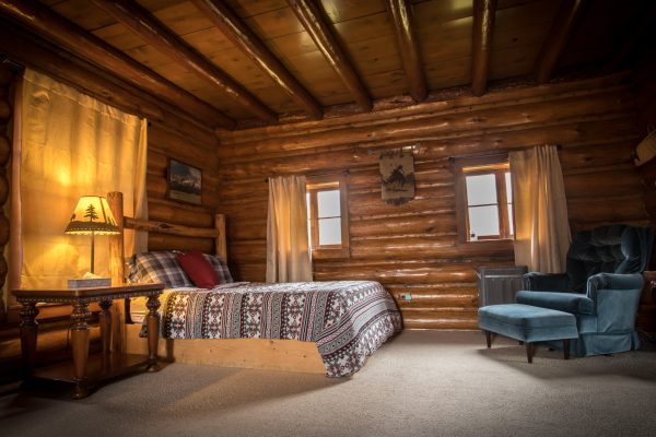 Wall Street Cabin - 1-bedroom cabin in Stanley, IdahoLiving Room of the Wall Street Cabin